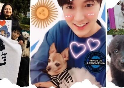 Minoz Acción Solidaria CABA junto a Mascotas en adopción Argentina