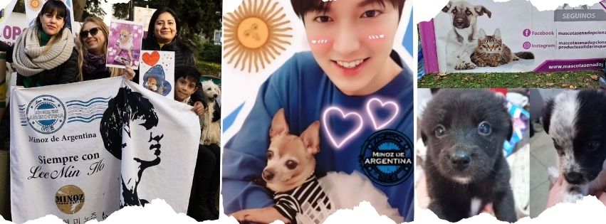 Minoz Acción Solidaria CABA junto a Mascotas en adopción Argentina