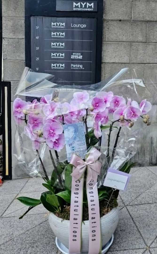 Minoz de Argentina acompaña y apoya Lee min Ho en esta nueva Producción